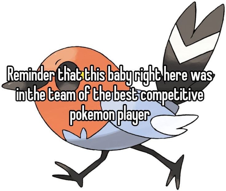 Meme reminding that Fletchling was in the team of the best competitive Pokemon player